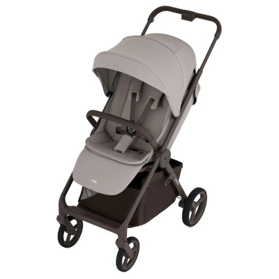 Детская прогулочная коляска Anex Ride (RD-01) Chrome